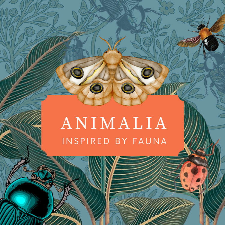 Animalia